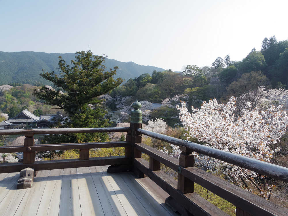 大観音大画軸大開帳 ＠長谷寺（桜井市）-08