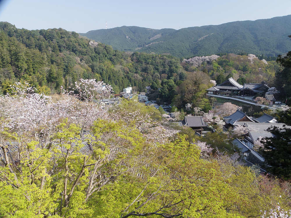 大観音大画軸大開帳 ＠長谷寺（桜井市）-09