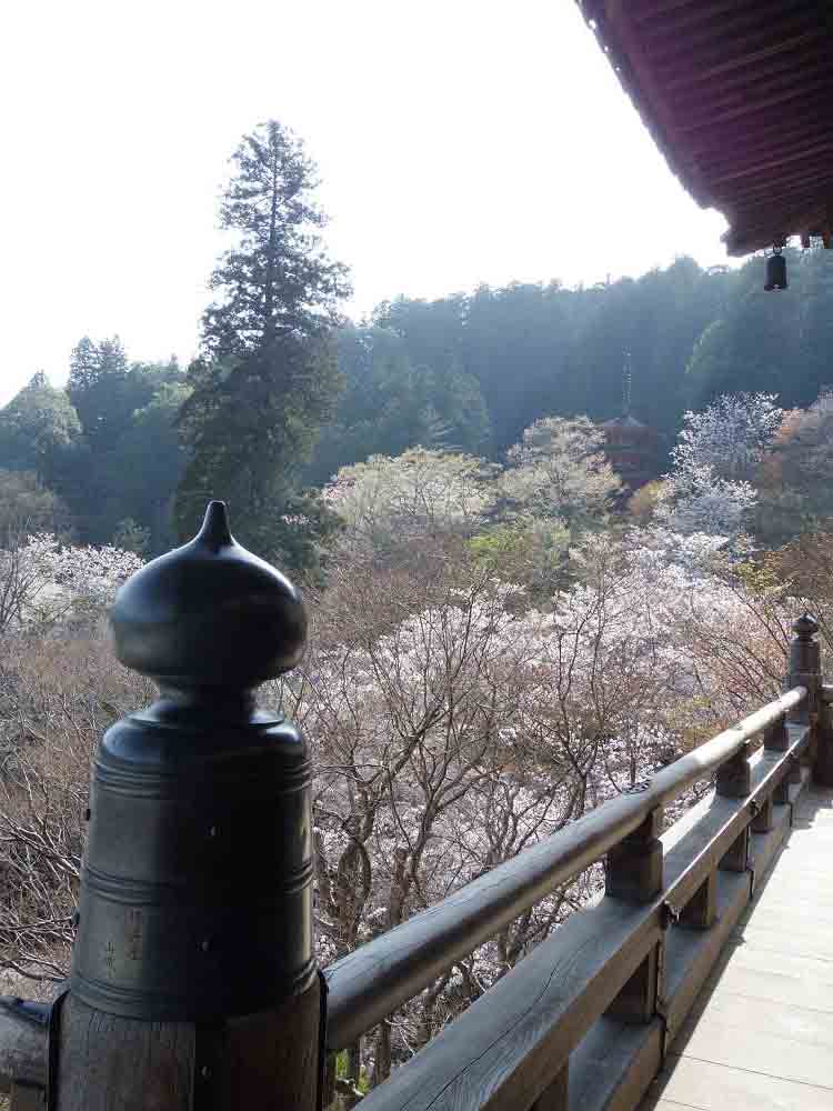 大観音大画軸大開帳 ＠長谷寺（桜井市）-10