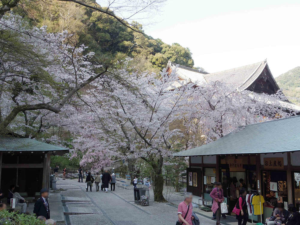 大観音大画軸大開帳 ＠長谷寺（桜井市）-12
