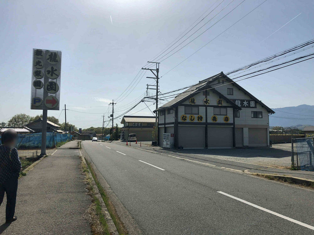 梨の花 ＠大阿太高原（大淀町）-01