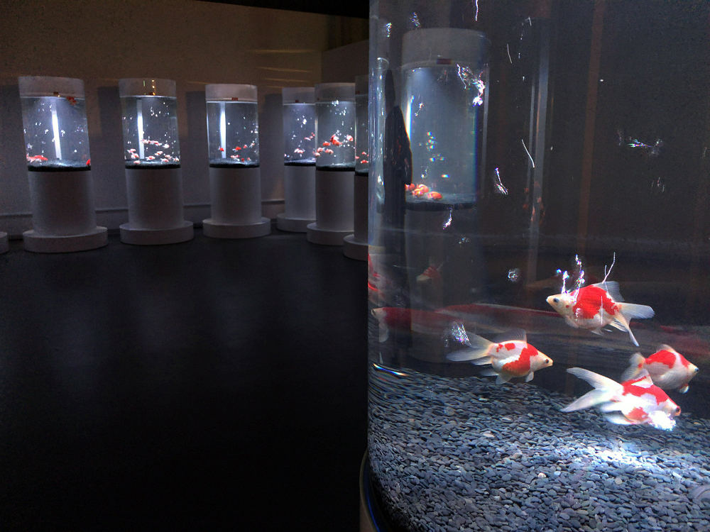 ミ・ナーラ（M!Nara）＠奈良市-20