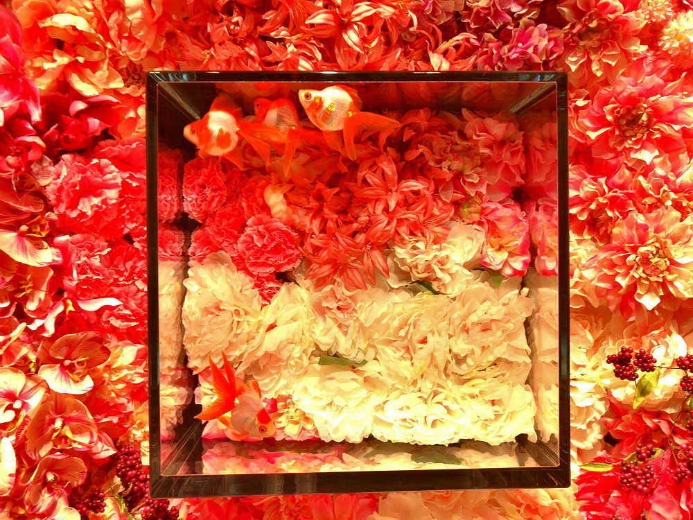 ミ・ナーラ（M!Nara）＠奈良市-23