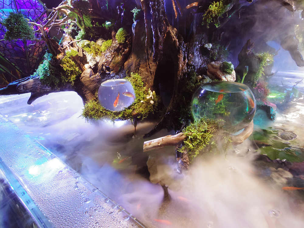 ミ・ナーラ（M!Nara）＠奈良市-26