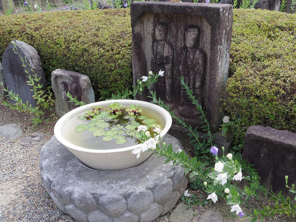 世界遺産元興寺　国宝禅室 屋根裏探検 ＠奈良市-21