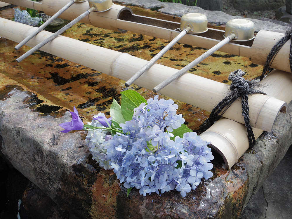 世界遺産元興寺　国宝禅室 屋根裏探検 ＠奈良市-23