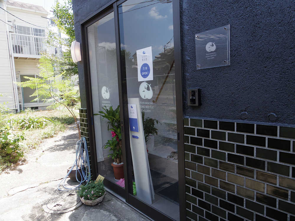 ならまち糞虫館@奈良市-03 ならまち糞虫館@奈良市-03