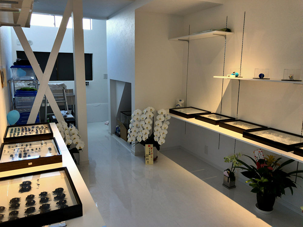 ならまち糞虫館@奈良市-05 ならまち糞虫館@奈良市-05