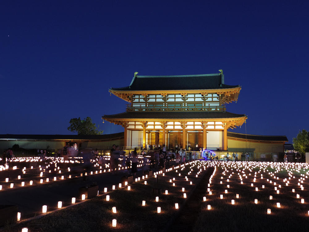 ツバメのねぐら入り @平城宮跡-09 ツバメのねぐら入り @平城宮跡-09