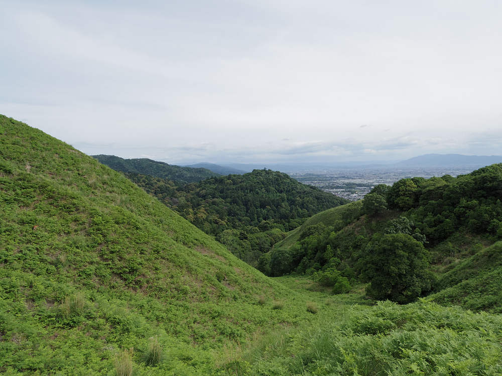 若草山ハイキング@奈良市-10 若草山ハイキング@奈良市-10