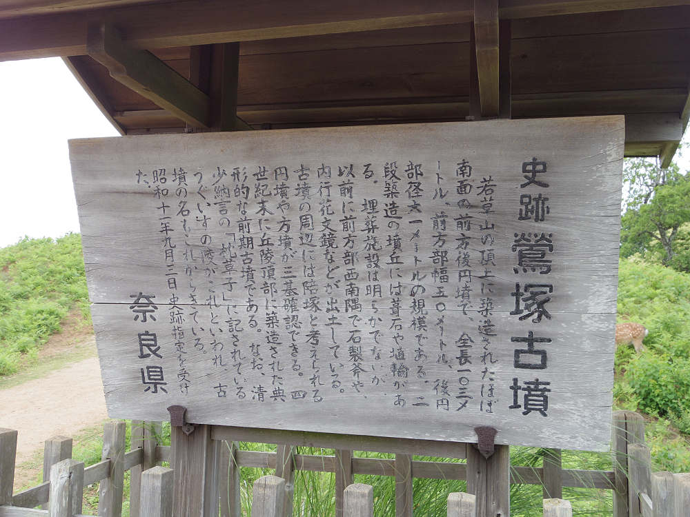 若草山ハイキング@奈良市-17 若草山ハイキング@奈良市-17