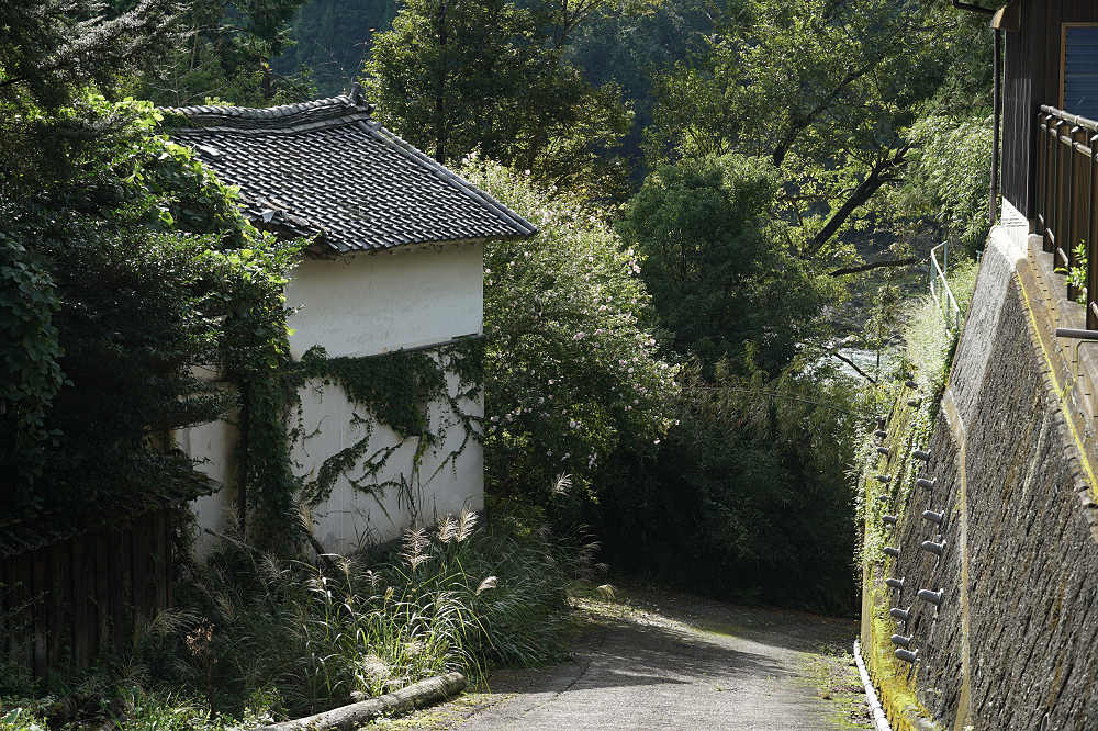 はならぁと2018『吉野町国栖エリア』-31 はならぁと2018『吉野町国栖エリア』-31