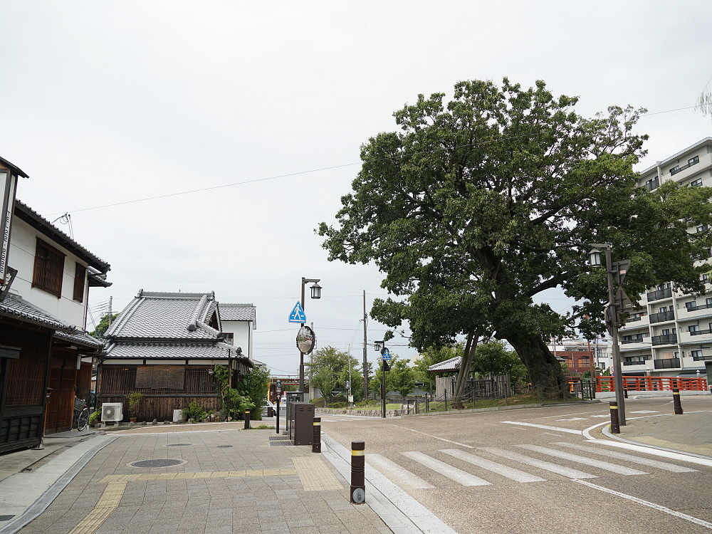 ハックベリー（Hackberry）＠橿原市今井町-01