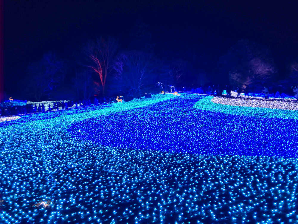 しあわせ回廊 なら瑠璃絵 2019-07