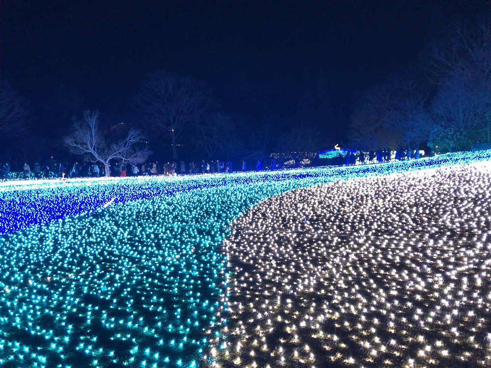 しあわせ回廊 なら瑠璃絵 2019-08