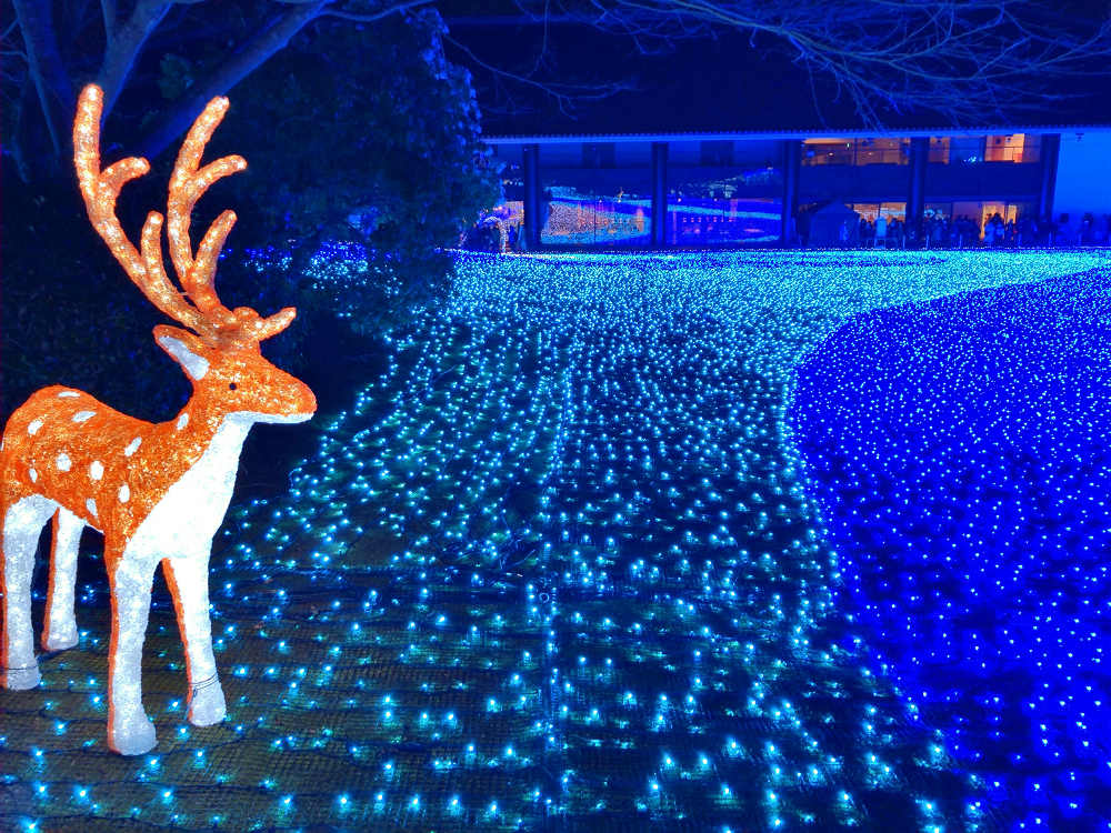 しあわせ回廊 なら瑠璃絵 2019-11