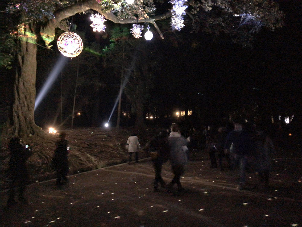 しあわせ回廊 なら瑠璃絵 2019-14