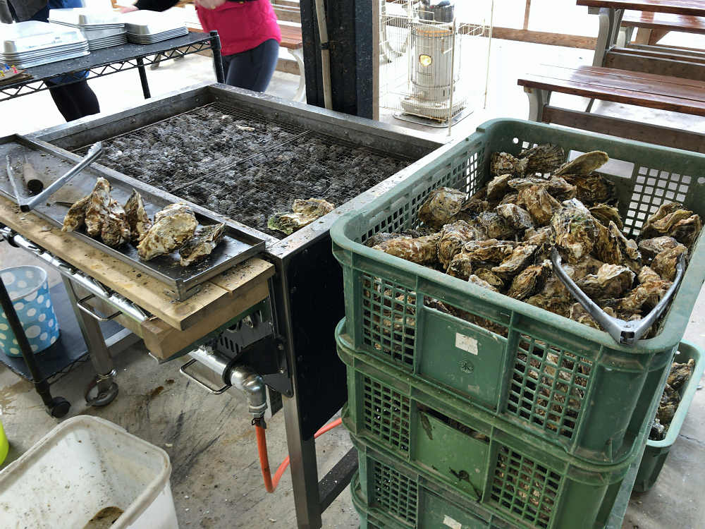 浦村かき かき太郎 @鳥羽市浦村町-05 浦村かき かき太郎 @鳥羽市浦村町-05