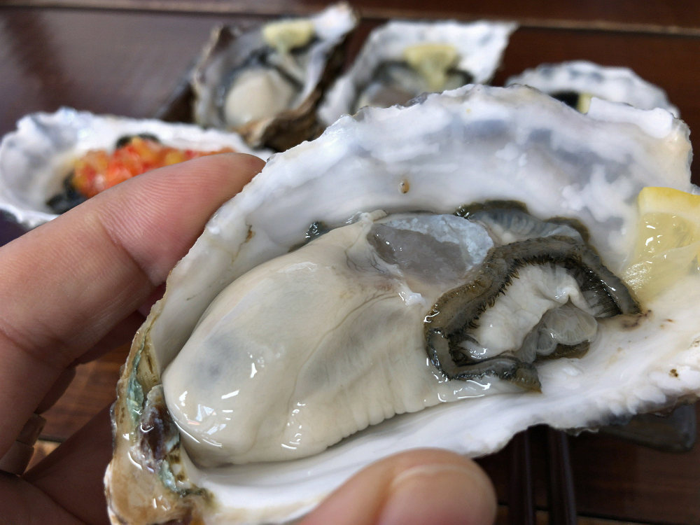 浦村かき かき太郎 @鳥羽市浦村町-10 浦村かき かき太郎 @鳥羽市浦村町-10