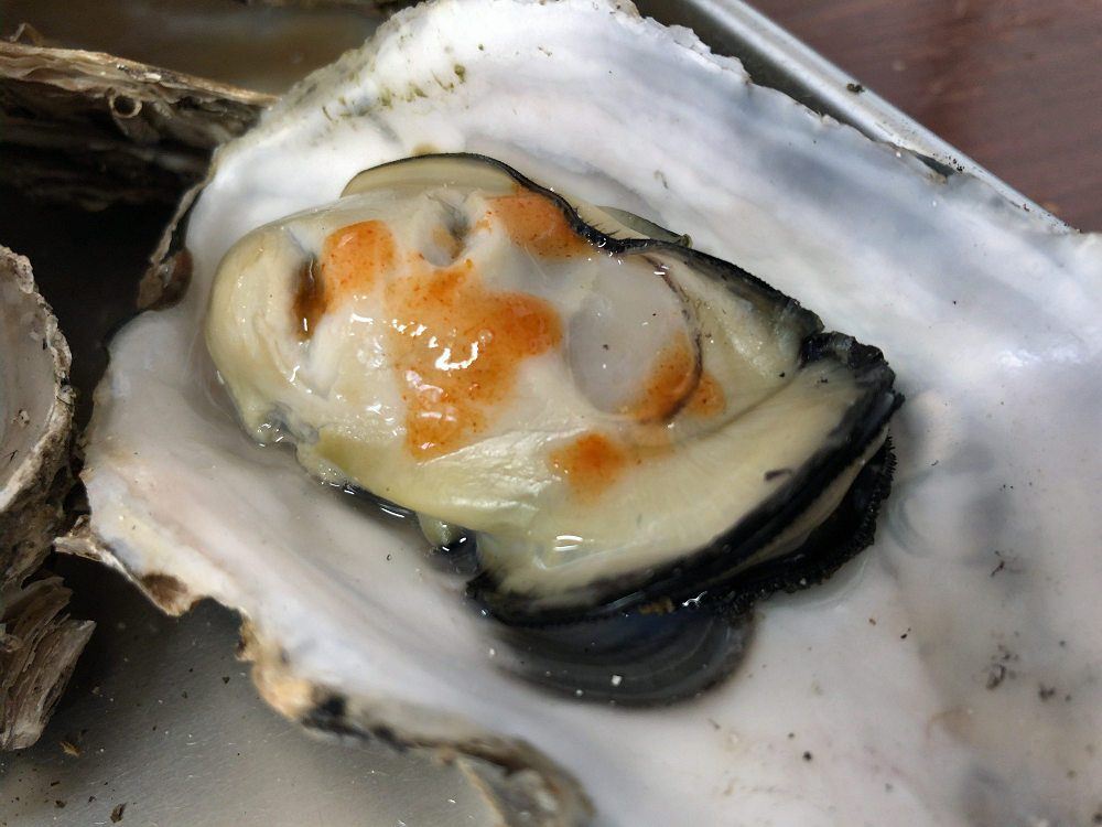 浦村かき かき太郎 @鳥羽市浦村町-14 浦村かき かき太郎 @鳥羽市浦村町-14