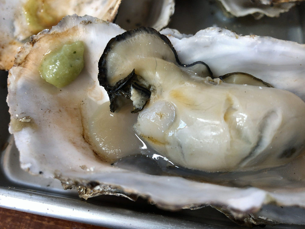 浦村かき かき太郎 @鳥羽市浦村町-15 浦村かき かき太郎 @鳥羽市浦村町-15