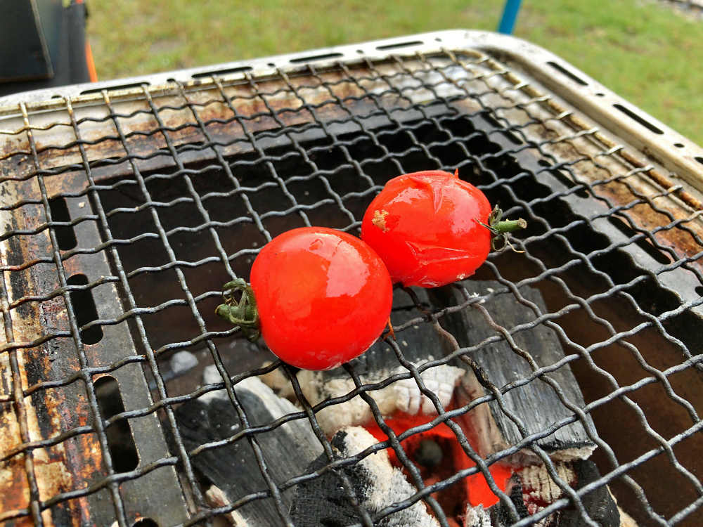 白川渡オートキャンプ場 ＠川上村-08