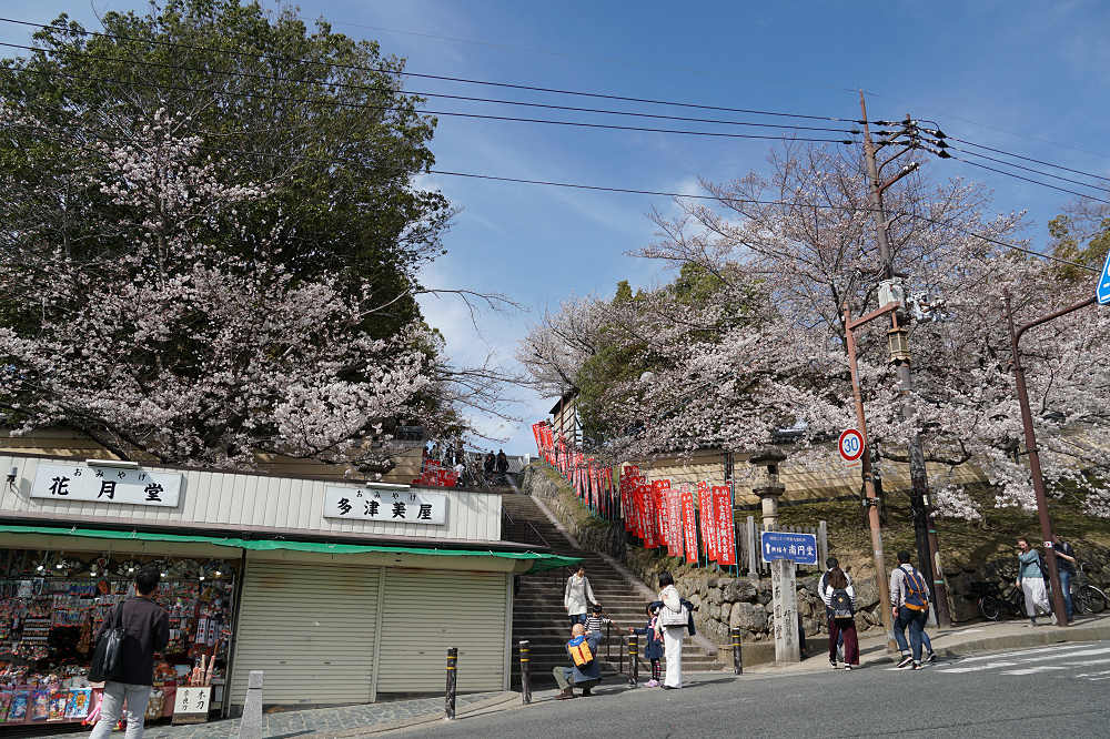 桜の名所100選・奈良公園の桜と鹿-01