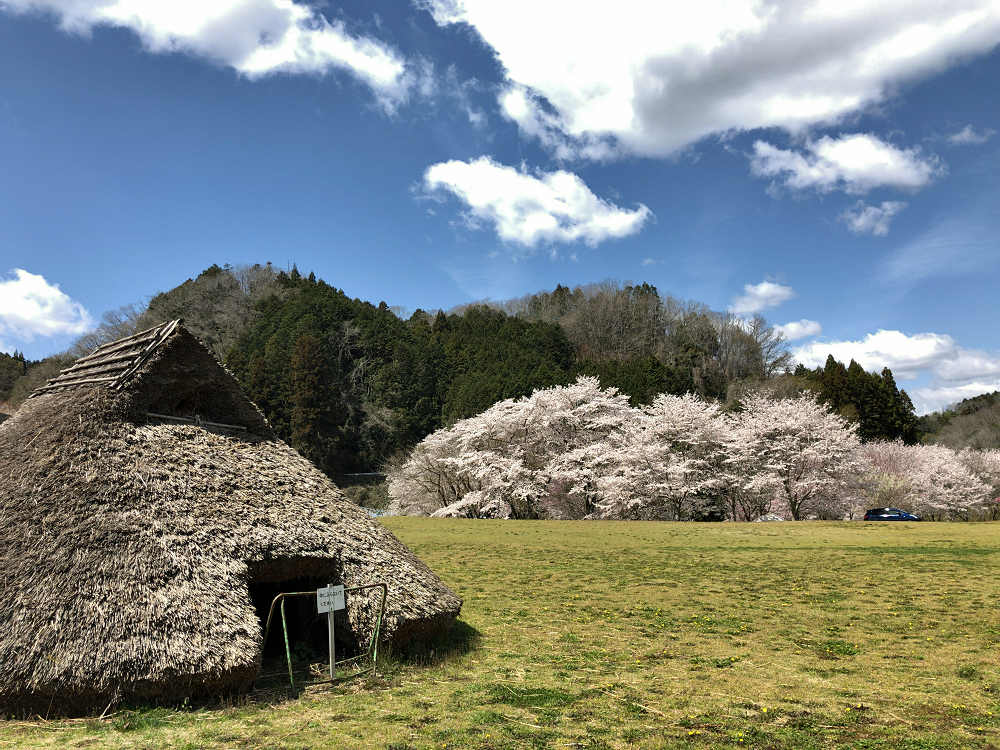 キャンプ場『カントリーパーク大川』＠山添村-04