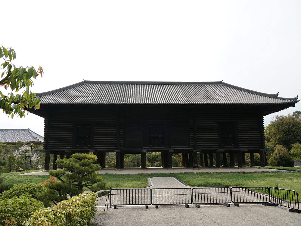 おかっぱ桜 ＠奈良公園-11