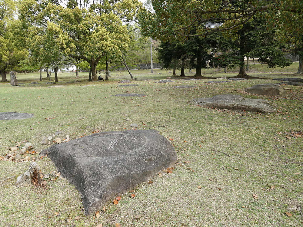 おかっぱ桜 ＠奈良公園-12