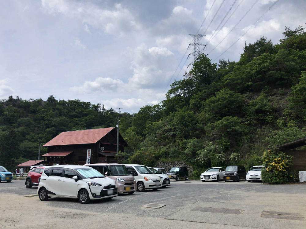 ツツジ @葛城山(御所市)-12 ツツジ @葛城山(御所市)-12