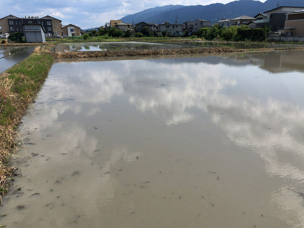 中日ドラゴンズ戦＠京セラドーム大阪-01