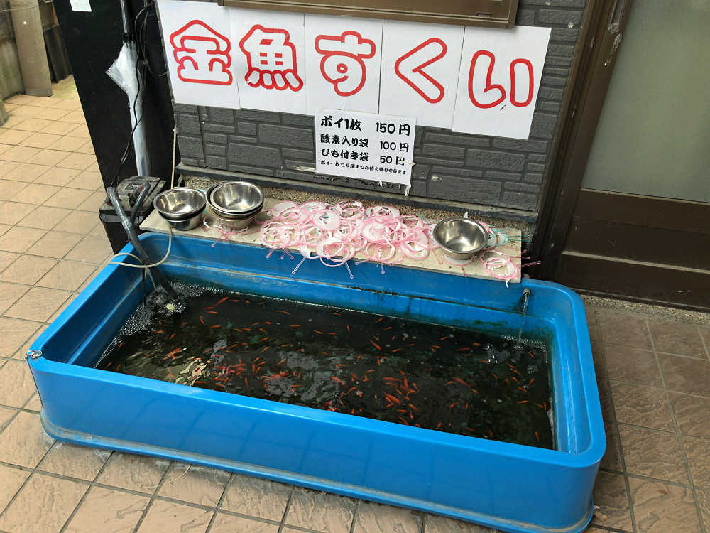 金魚釣り『大倉養鯉場』 ＠大和郡山市-05