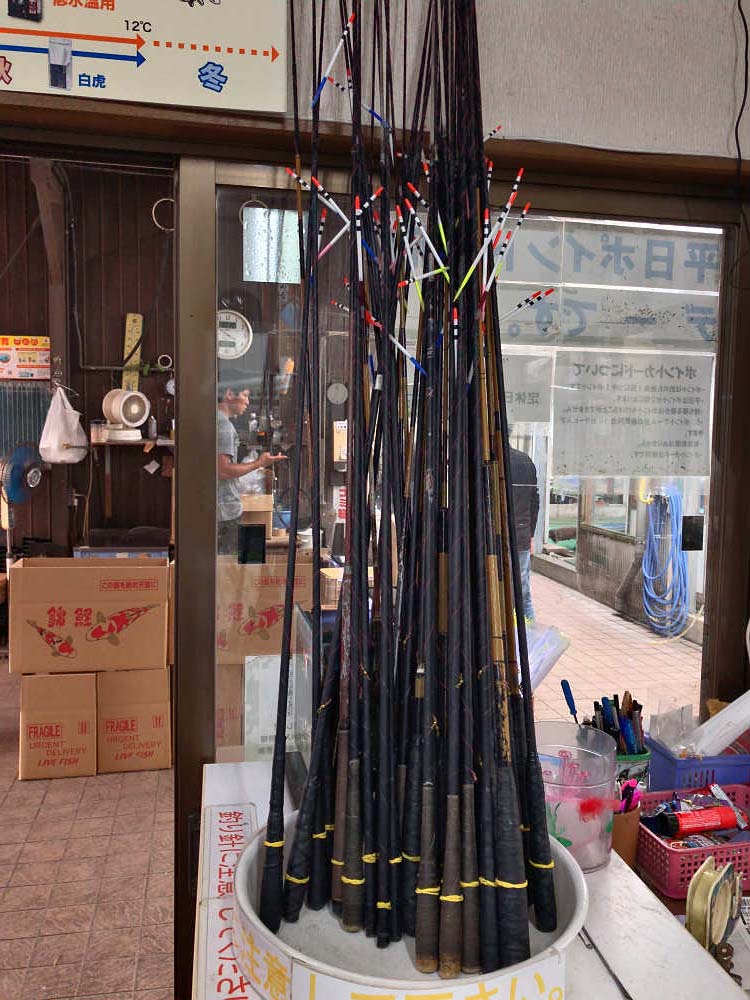 金魚釣り『大倉養鯉場』 ＠大和郡山市-08