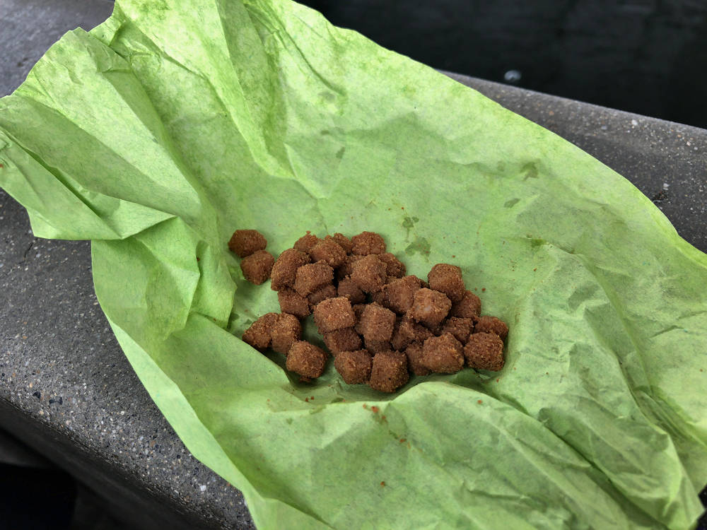 金魚釣り『大倉養鯉場』 ＠大和郡山市-09