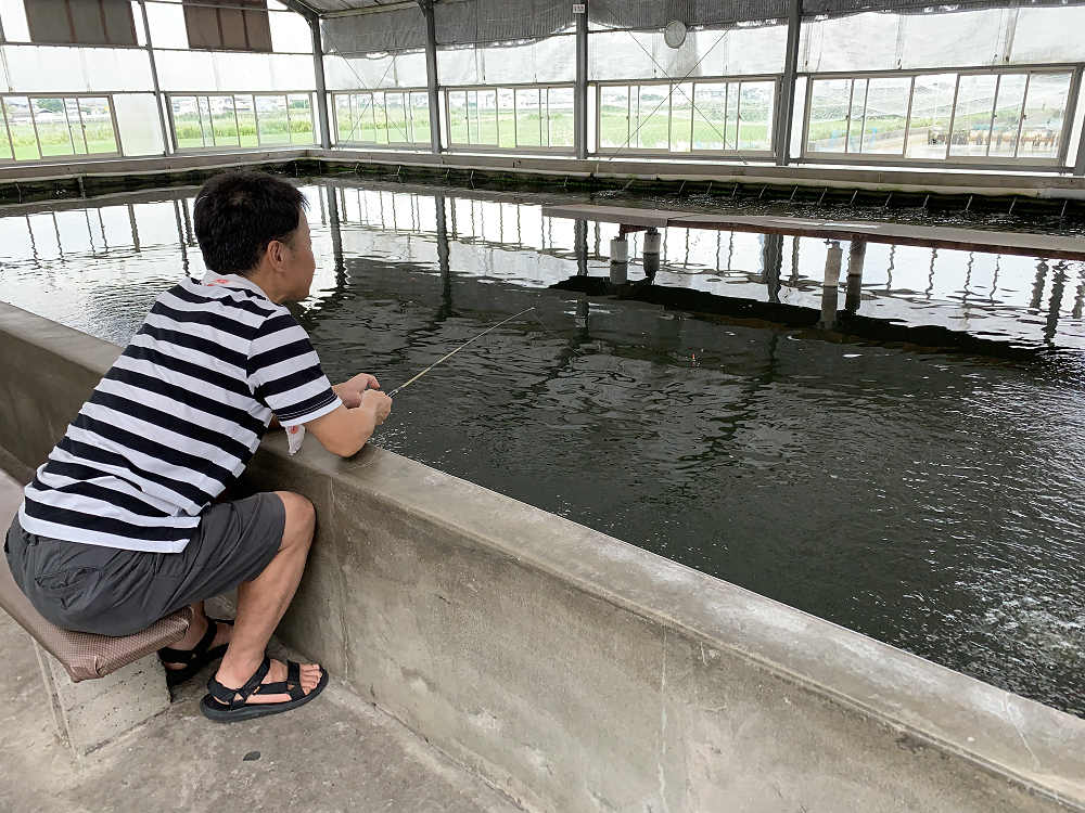 金魚釣り『大倉養鯉場』 ＠大和郡山市-15