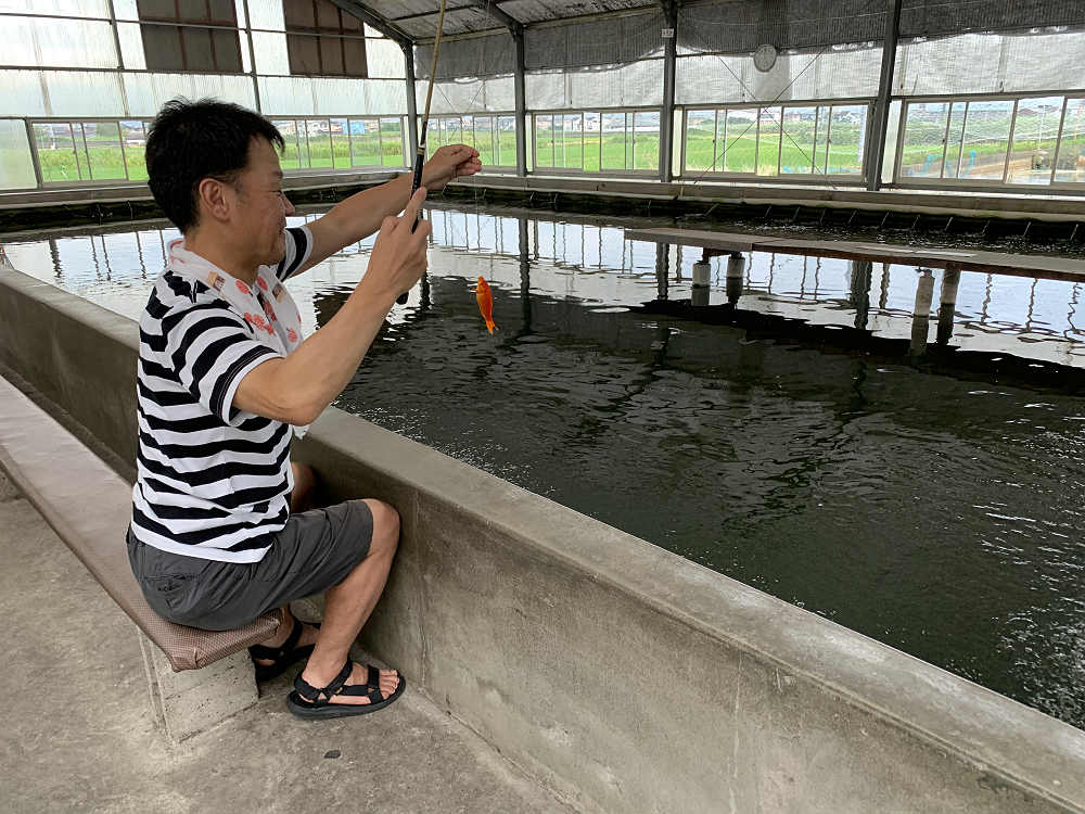 金魚釣り『大倉養鯉場』 ＠大和郡山市-17