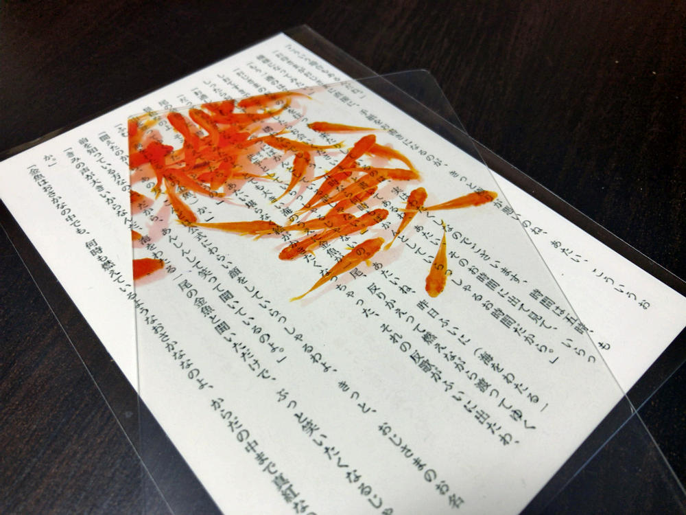 金魚柄の透明写真栞 ＠安堂真季さん-11