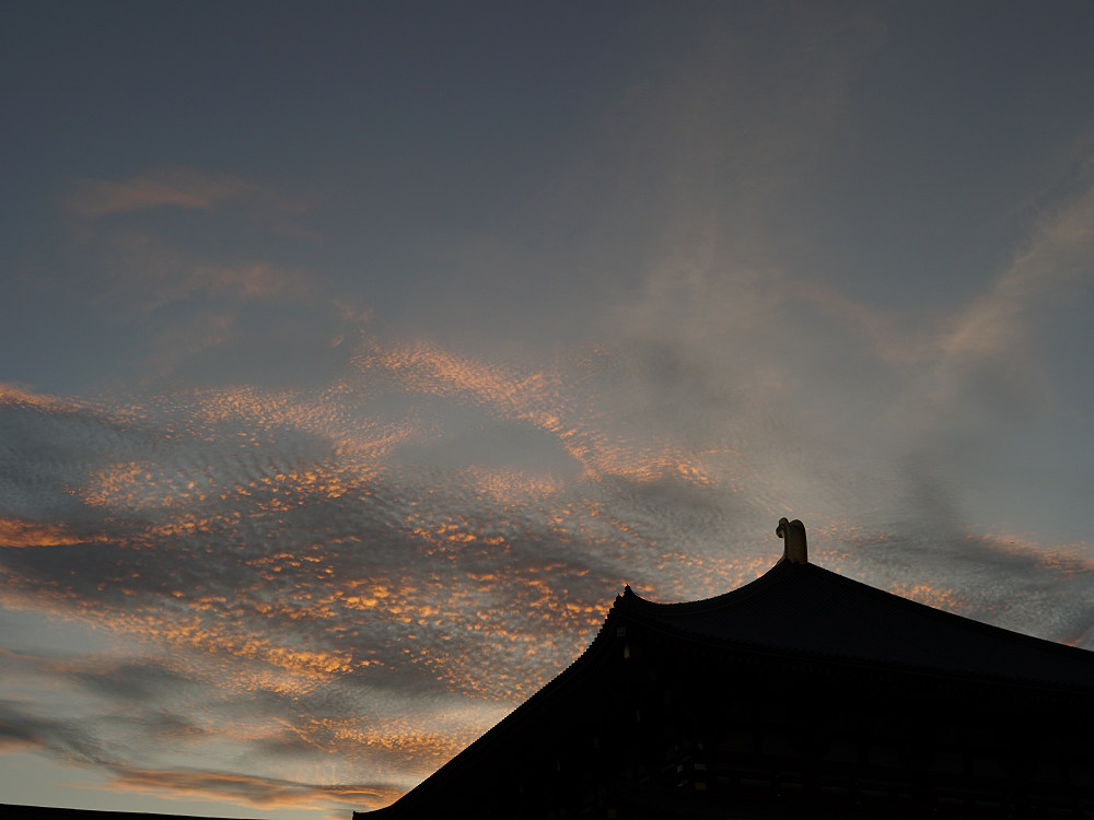 なら燈花会2019＠奈良市-04