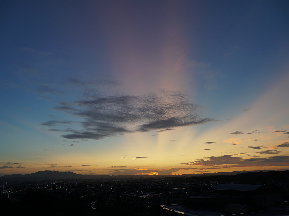 なら燈花会2019＠奈良市-08