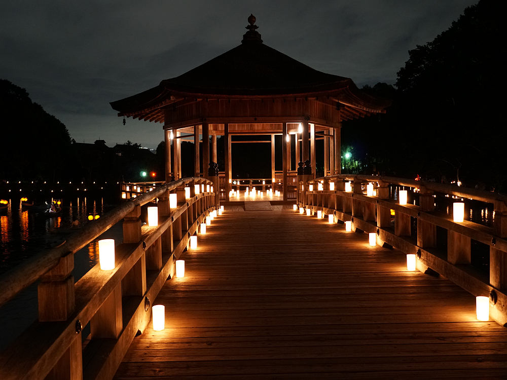 なら燈花会2019＠奈良市-12