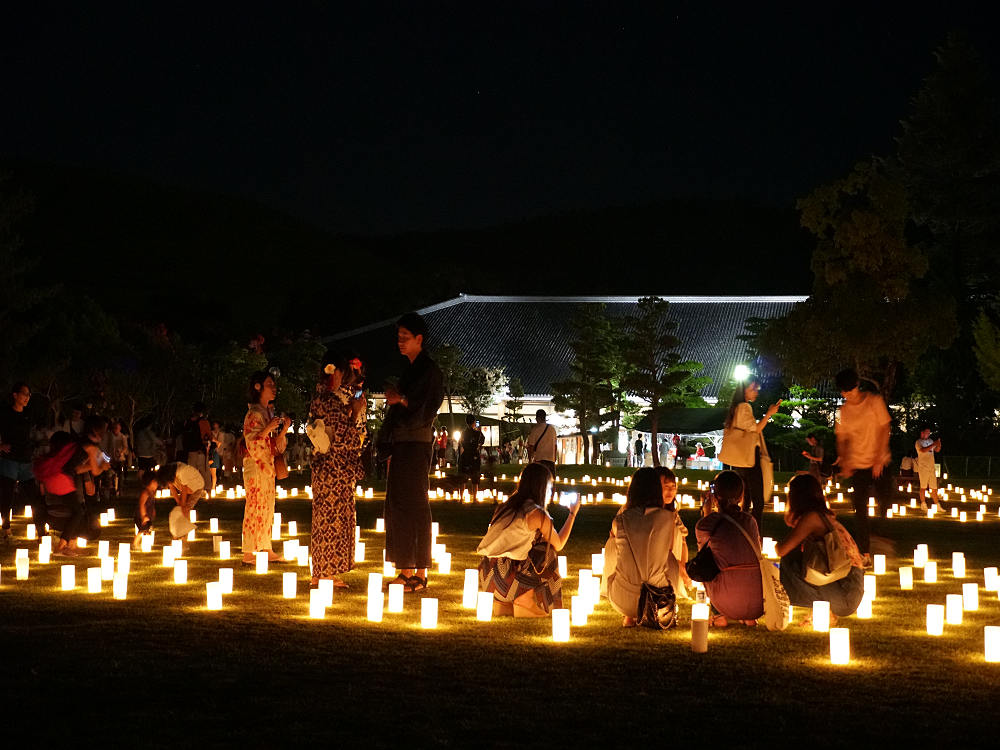 なら燈花会2019＠奈良市-14