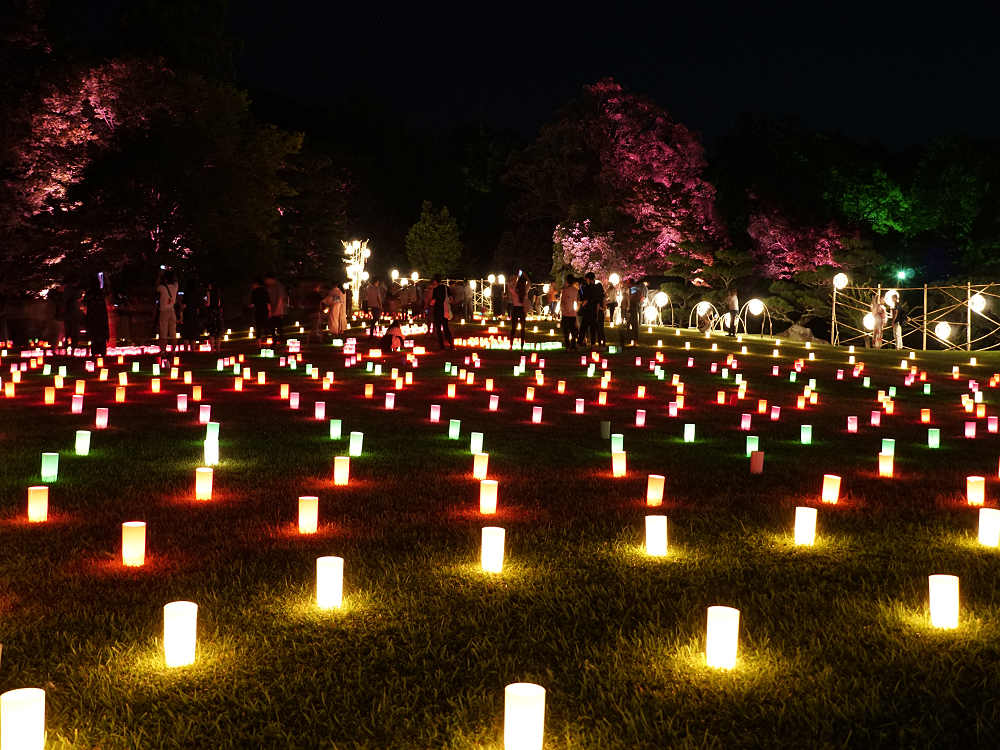 なら燈花会2019＠奈良市-16