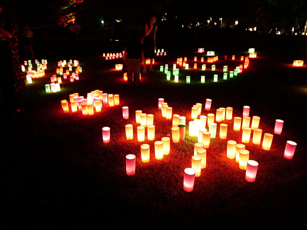 なら燈花会2019＠奈良市-18