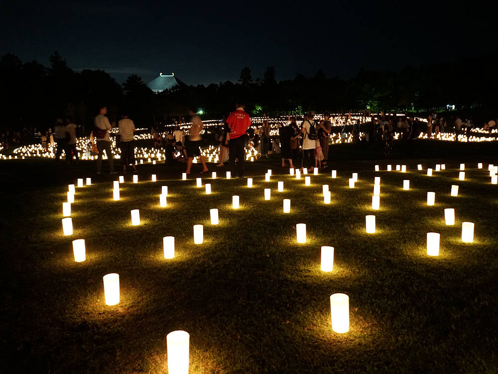 なら燈花会2019＠奈良市-21