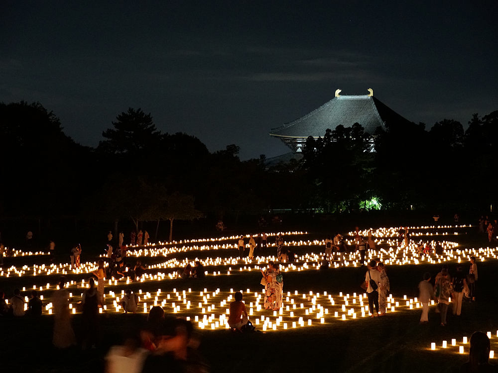 なら燈花会2019＠奈良市-22