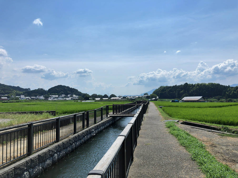 飛鳥京跡苑池（明日香村） 第13次調査 現地説明会-01