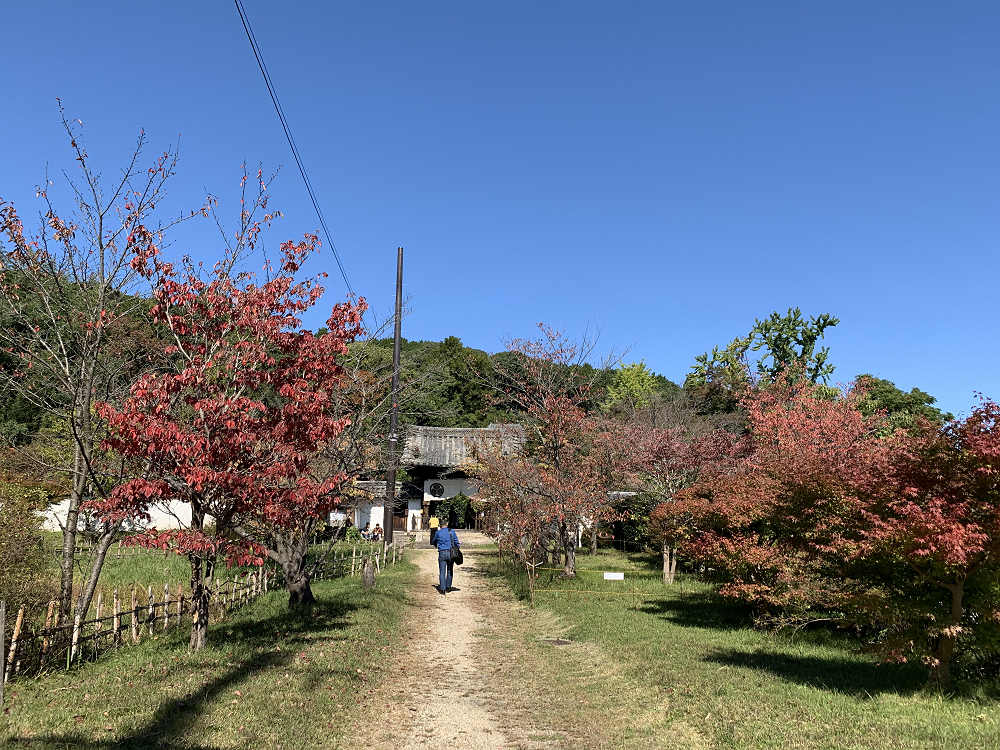 令和記念 興福院特別拝観 ＠奈良市-01