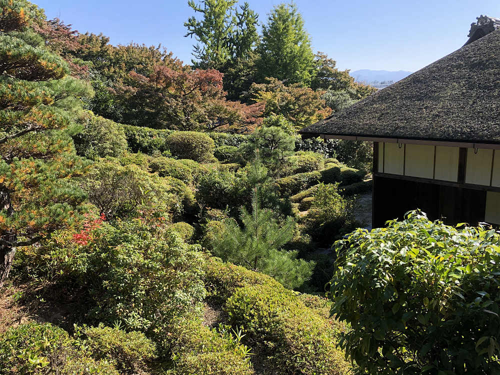 令和記念 興福院特別拝観 ＠奈良市-12