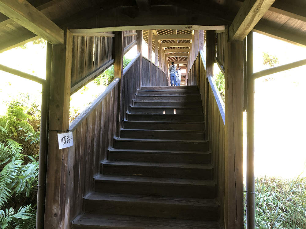 令和記念 興福院特別拝観 ＠奈良市-14